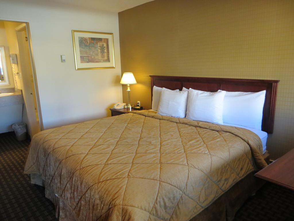 Super 8 Calgary Village Esterno foto